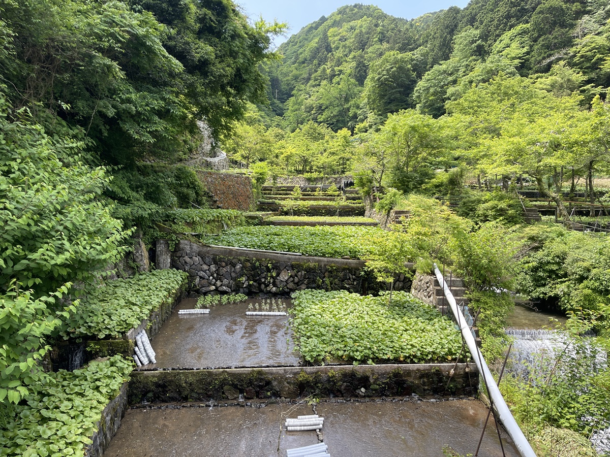 中部日帰り08