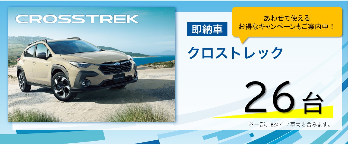 2025下_sokunosya_shashu04_CROSSTREK