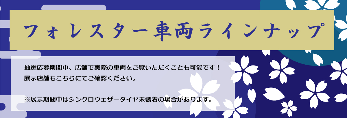 2601_中古特選03_車両ラインナップ