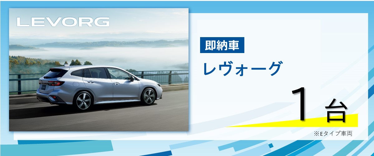 2025下_sokunosya_shashu01_LEVORG