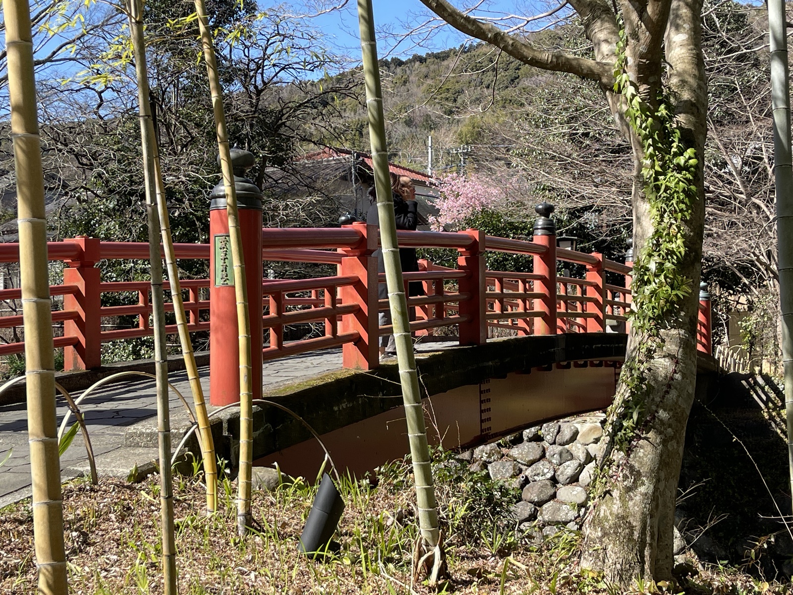 2024_0310●IMG_5283（楓橋）
