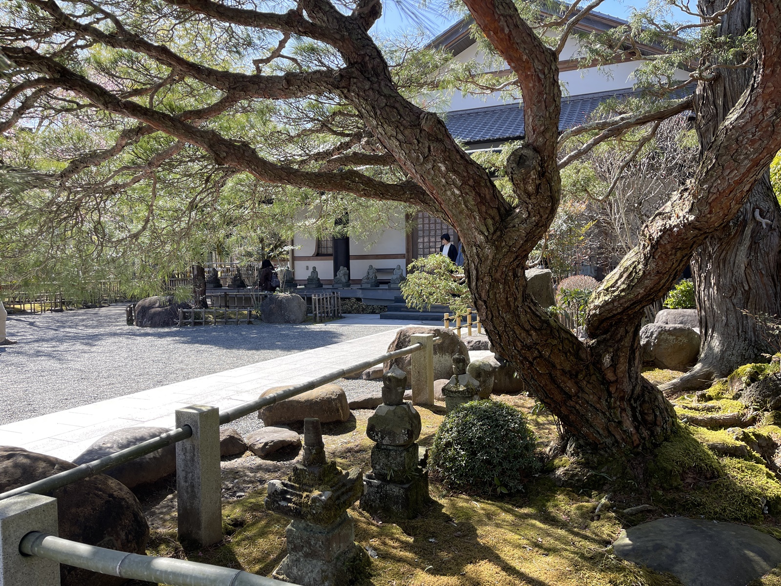 2024_0310●IMG_5308（修善寺5）