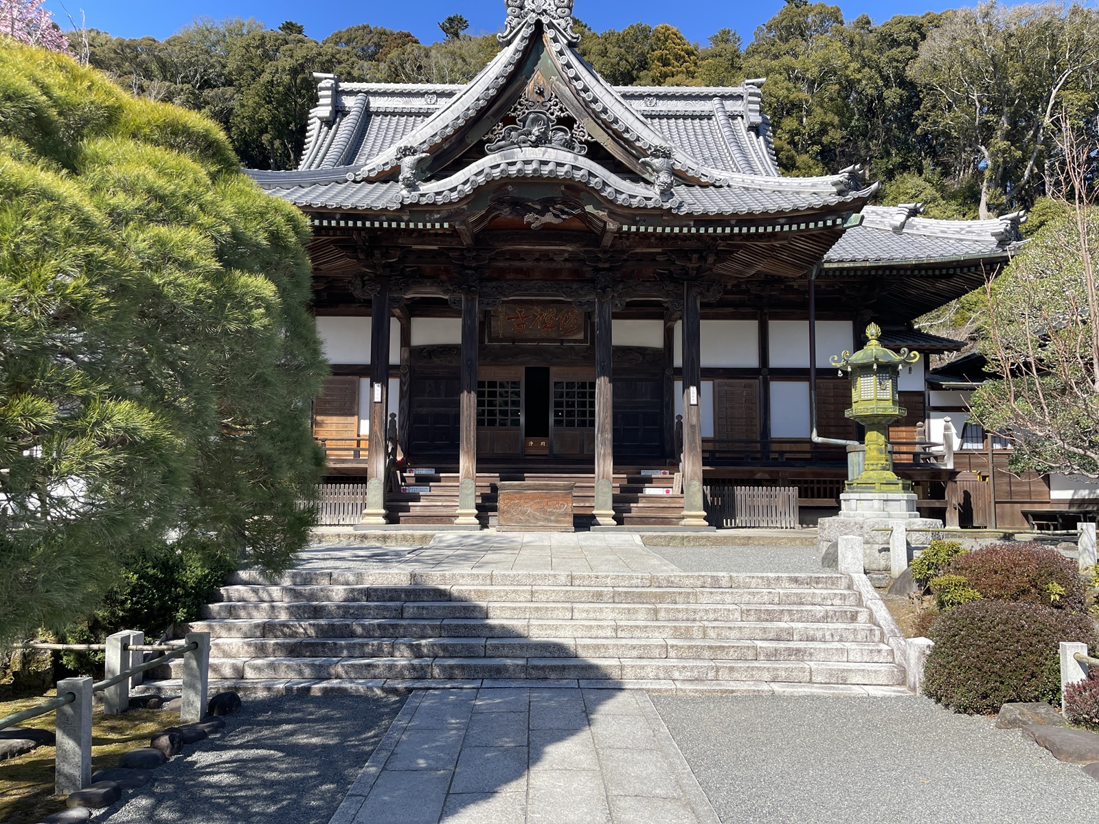 2024_0310●IMG_5309（修善寺1）