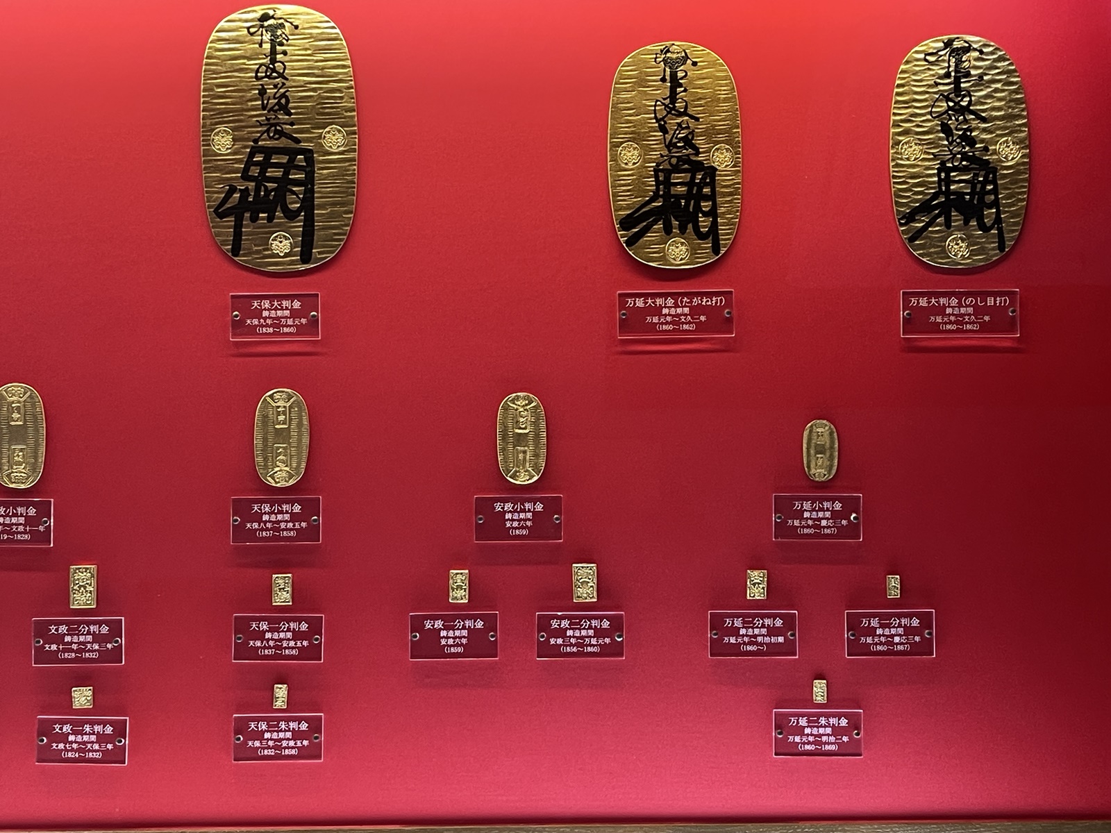 2024_0310●IMG_5381（土肥金山7）
