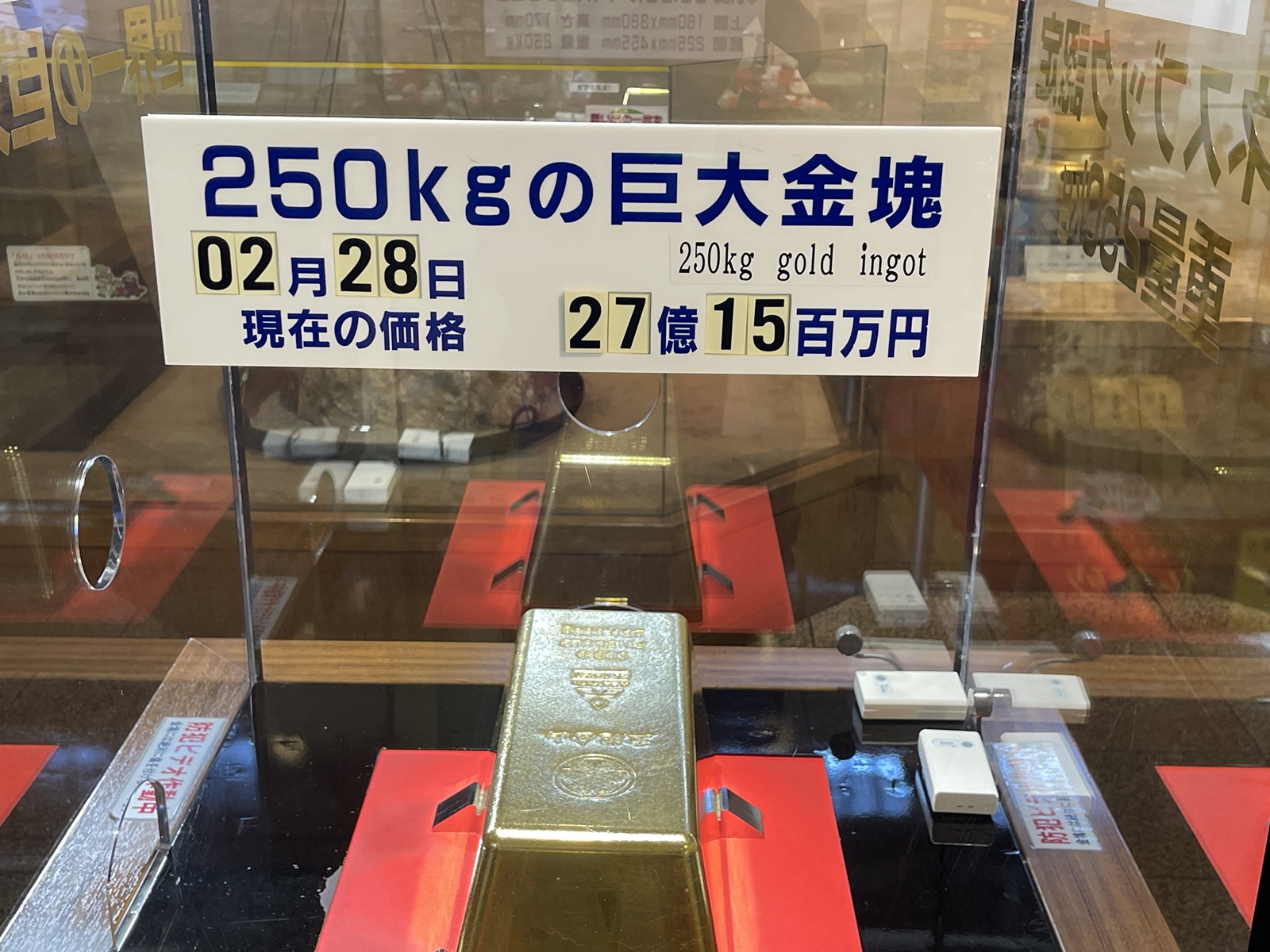 2024_0310●IMG_5393（土肥金山9）