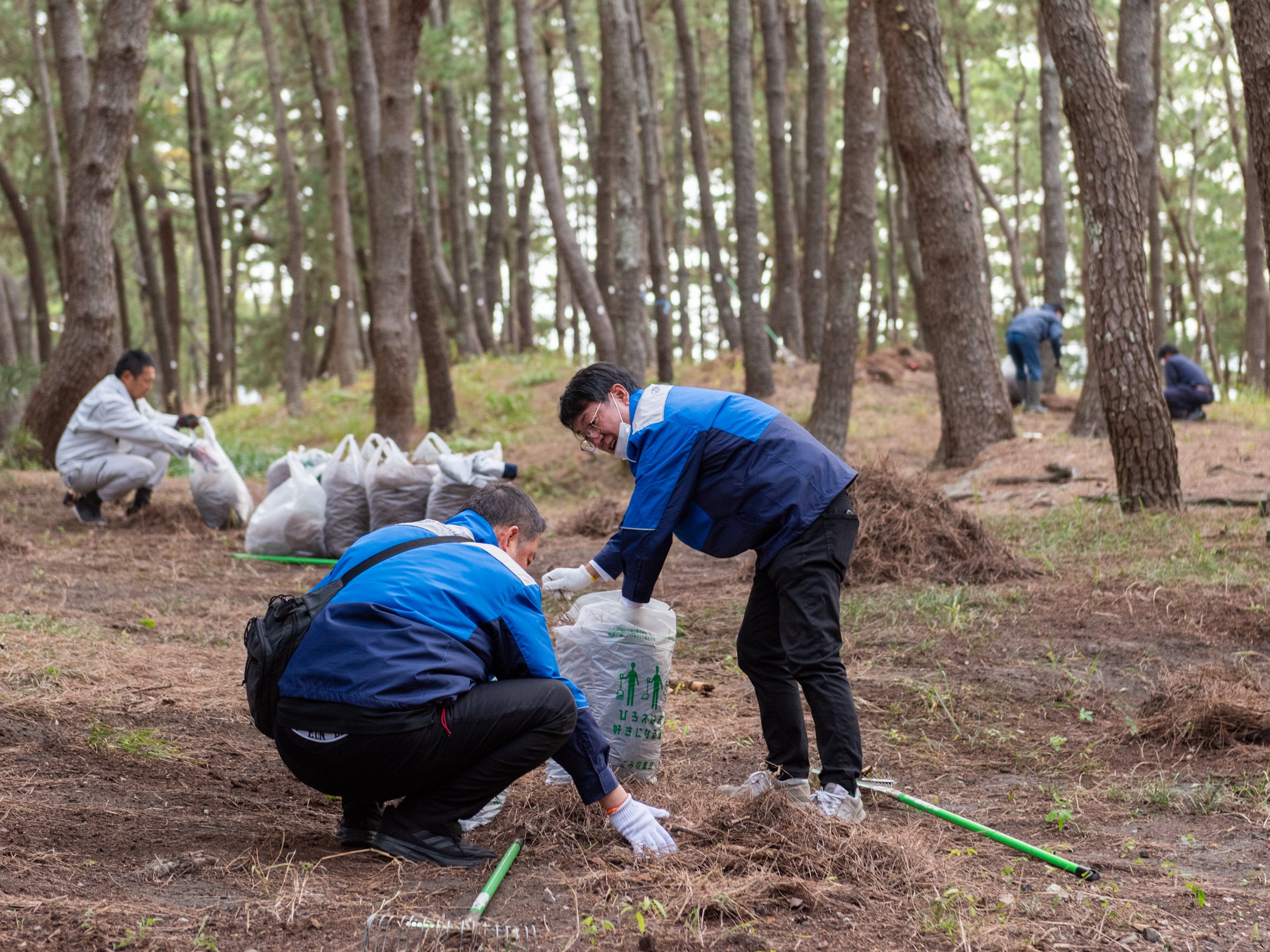 251108_三保清掃04