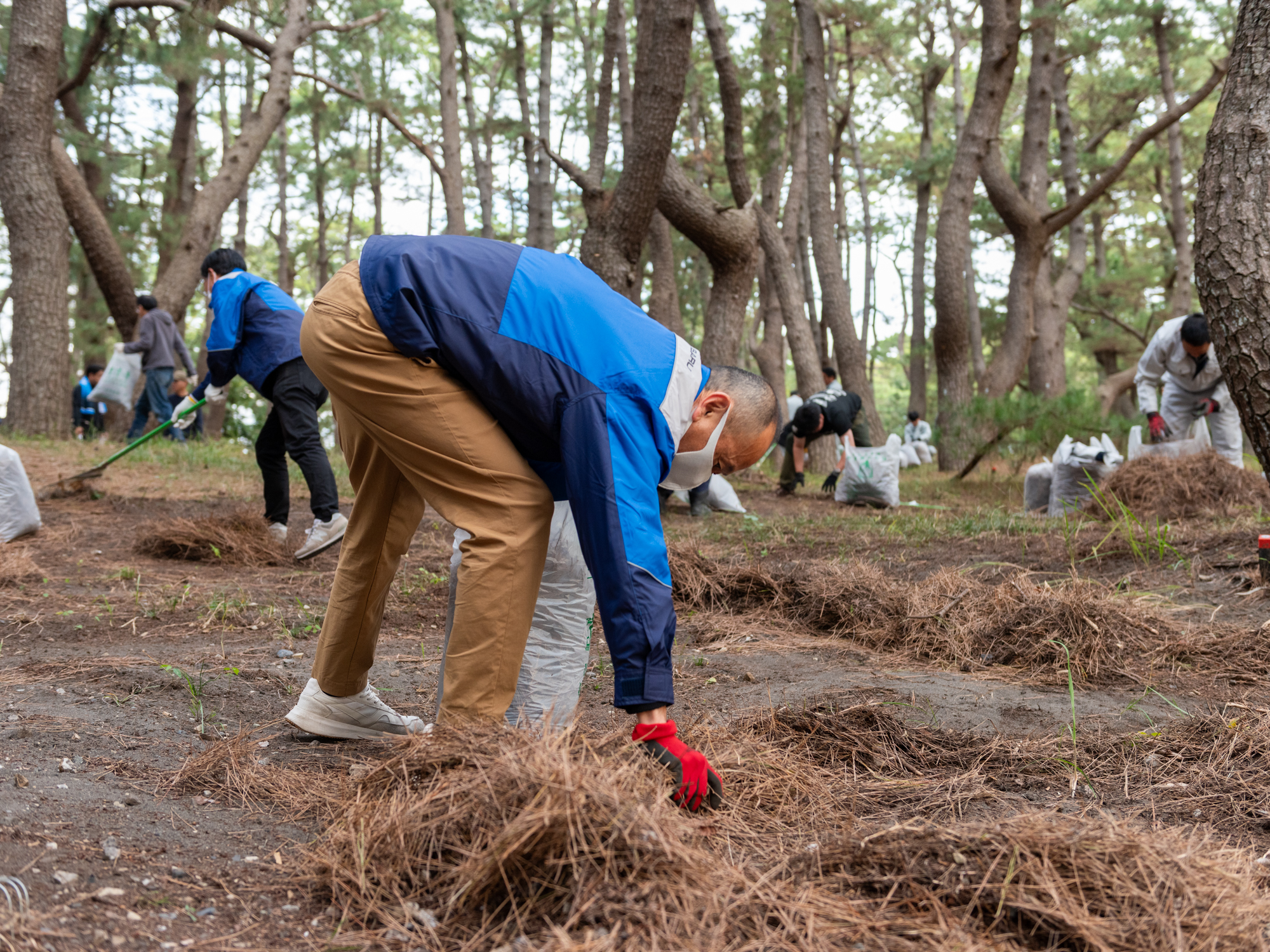 251108_三保清掃06