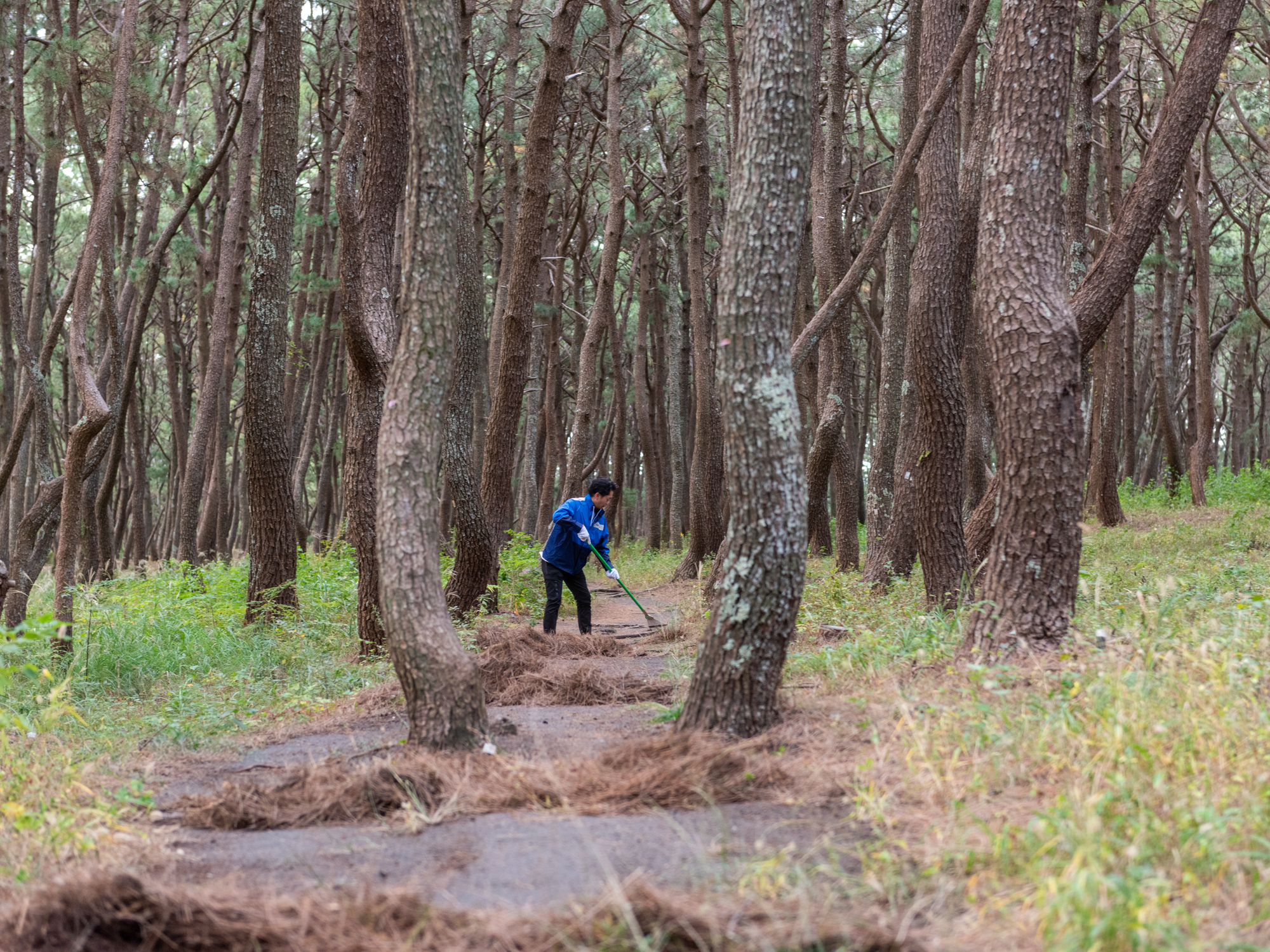 251108_三保清掃11