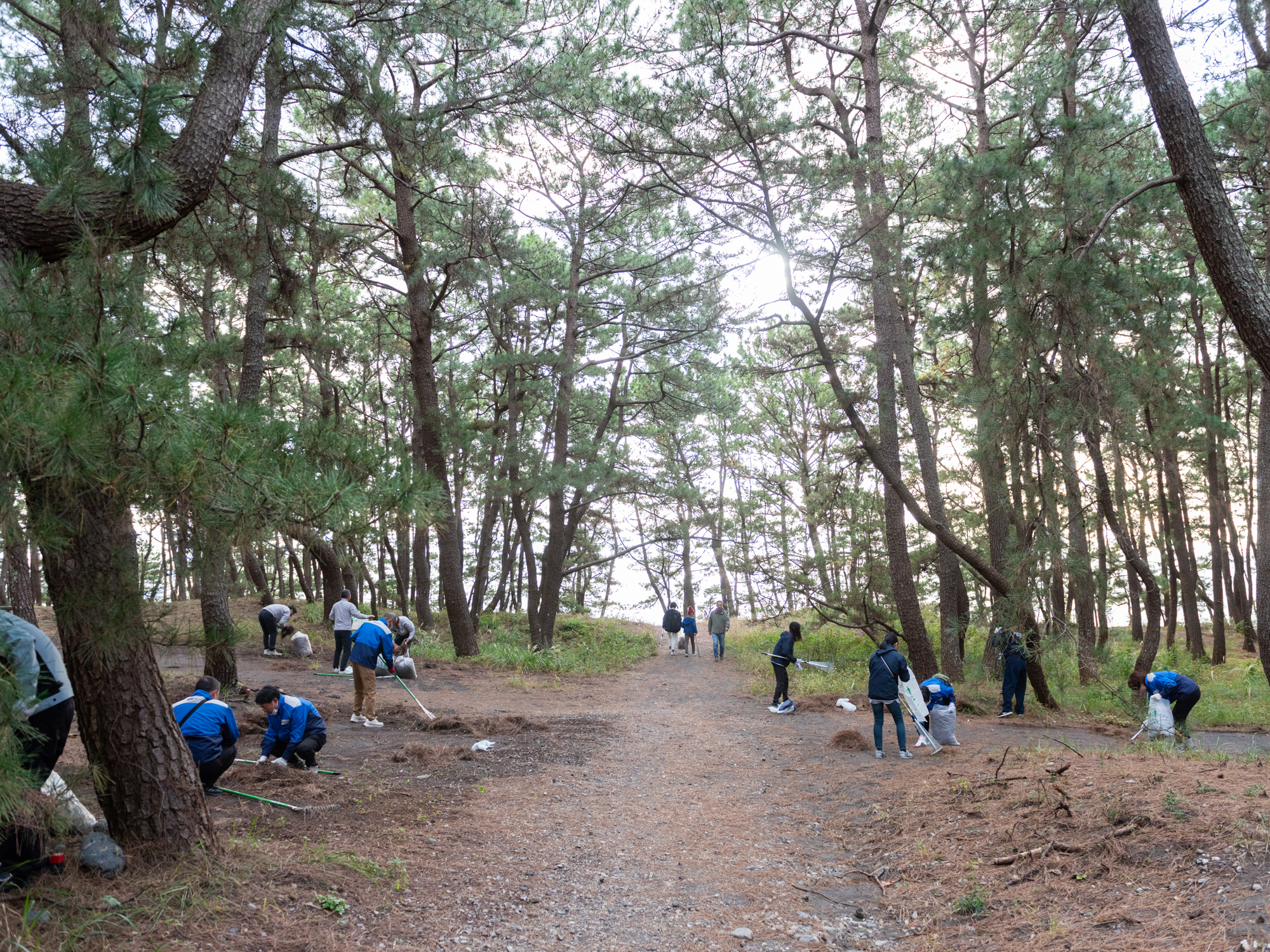 251108_三保清掃14