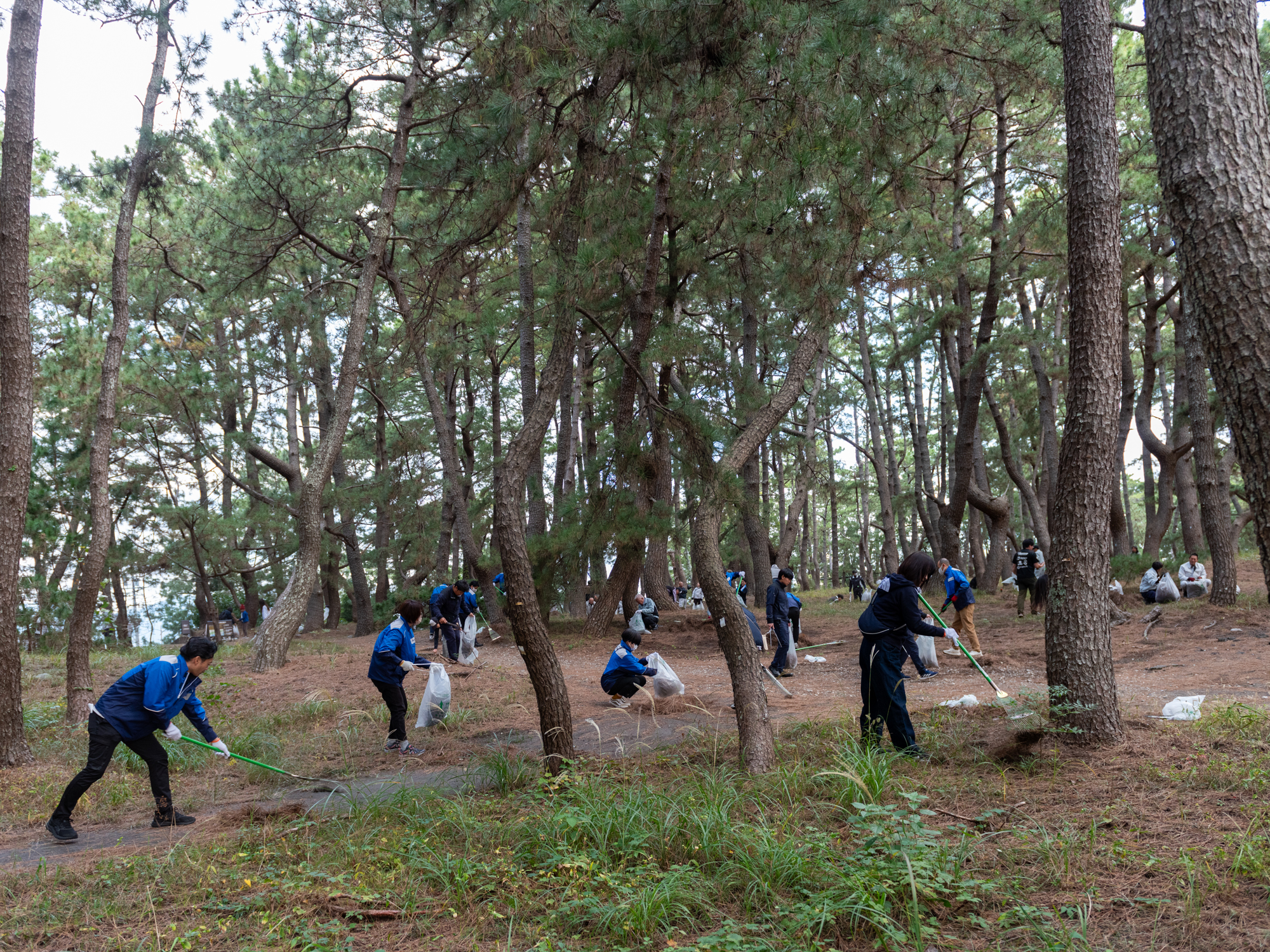 251108_三保清掃16