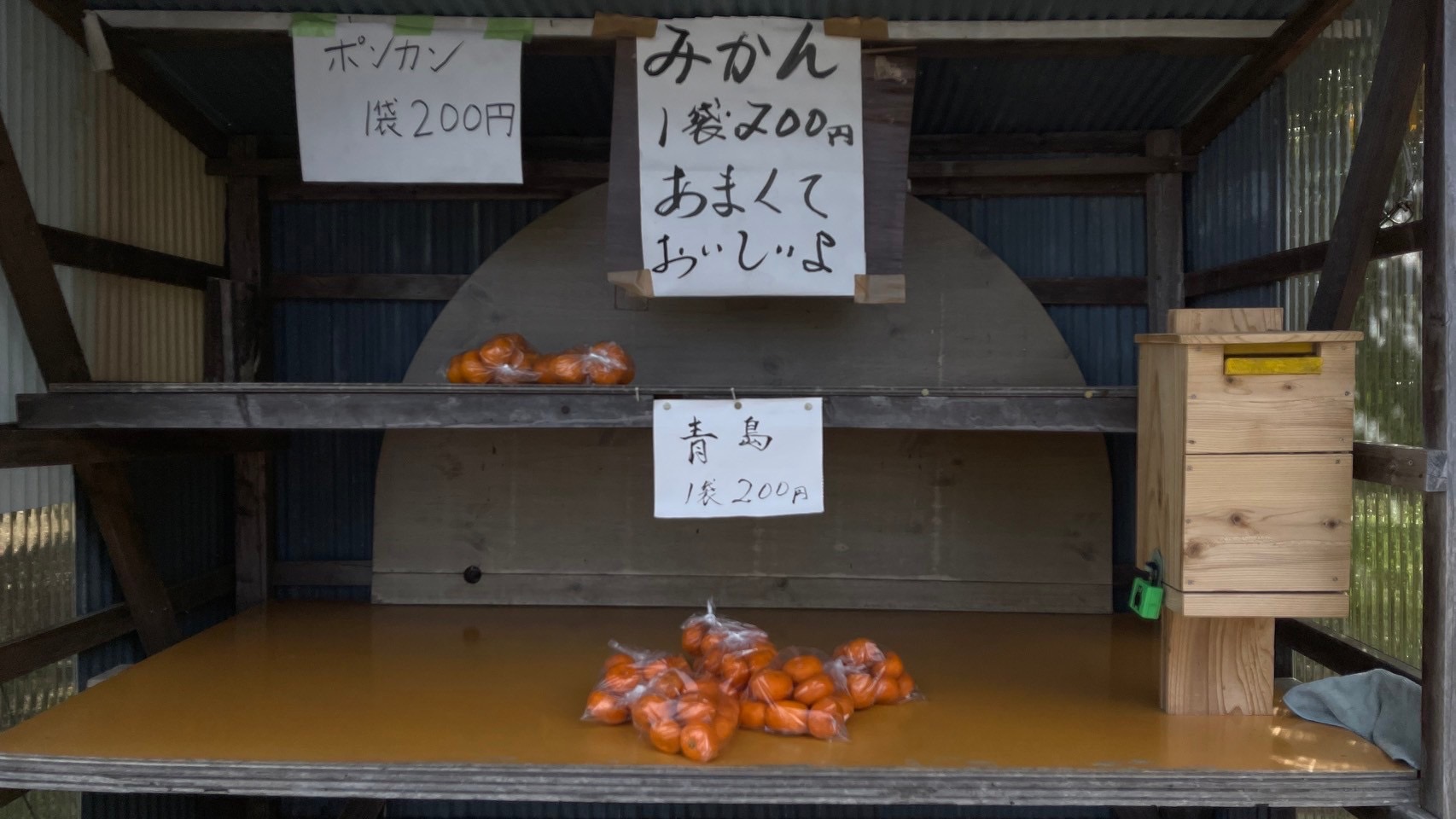 中部日帰り07