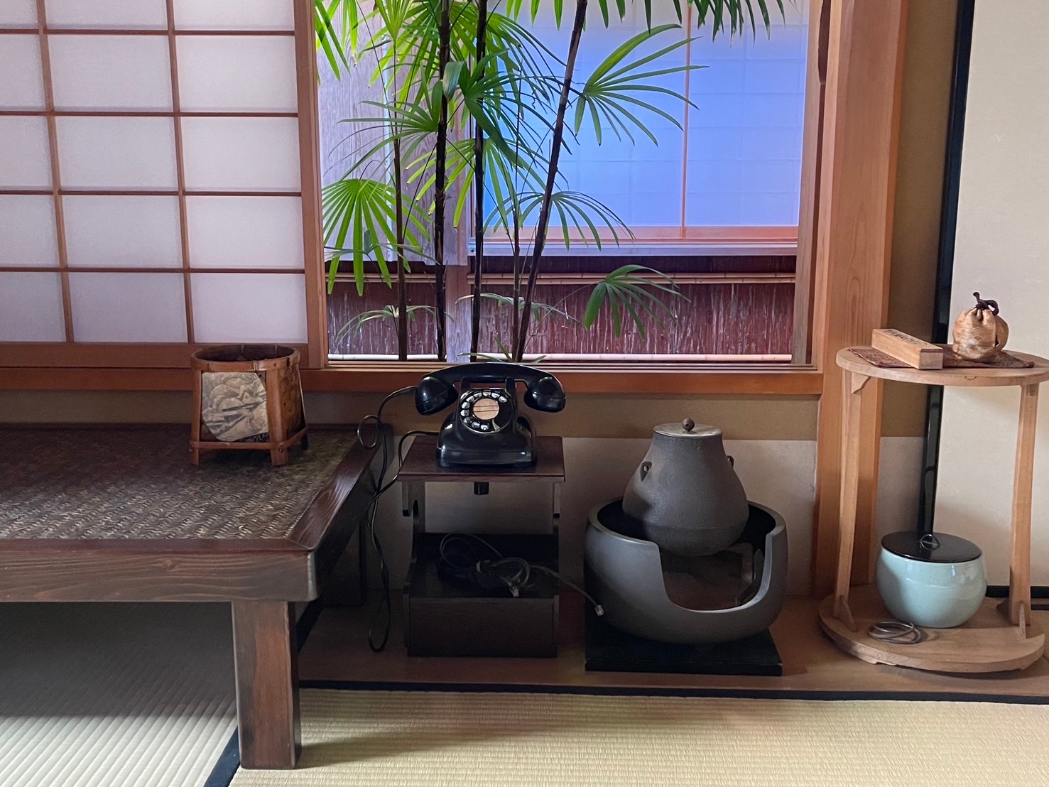 桜海老22