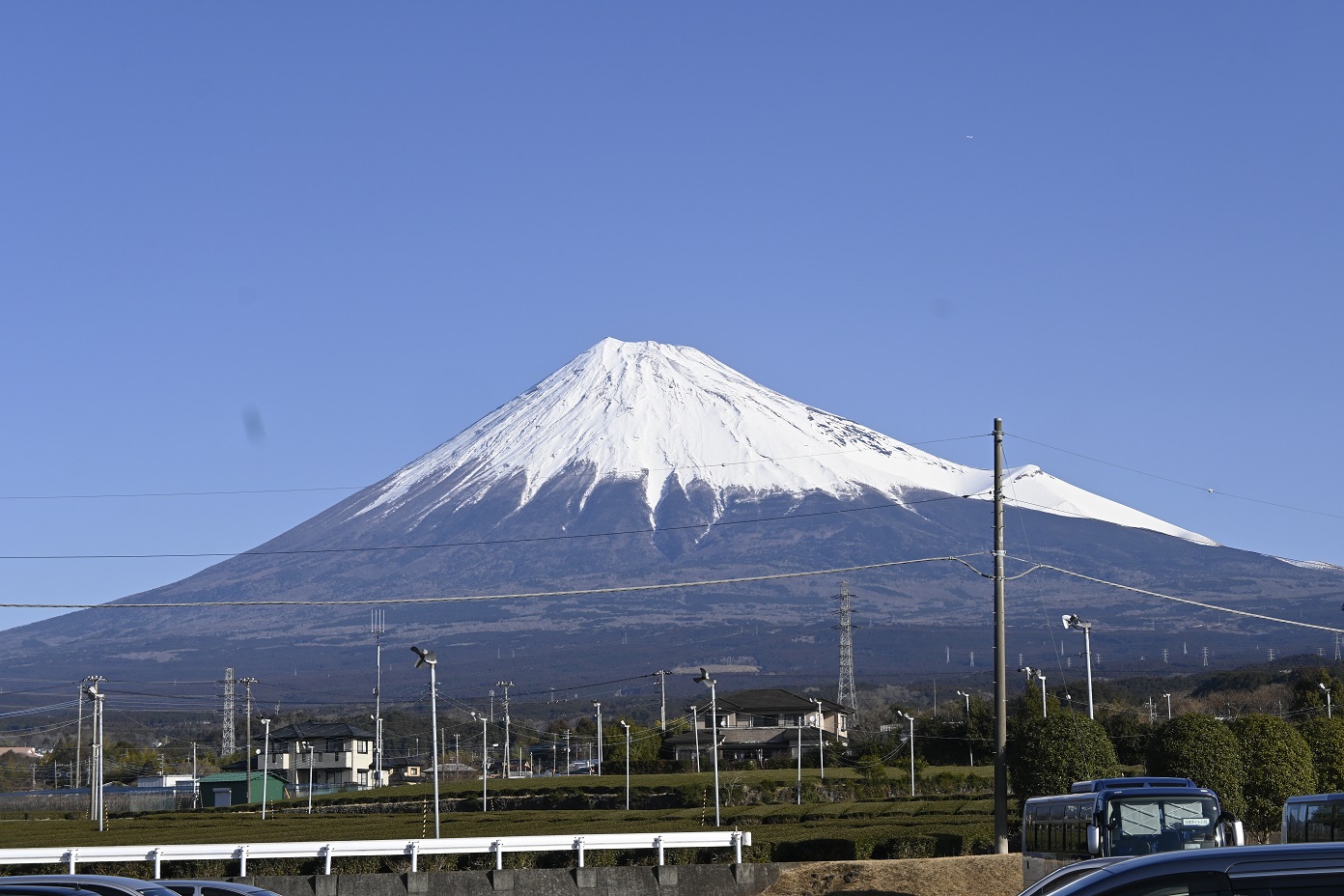 SLAプール競技会2024_1