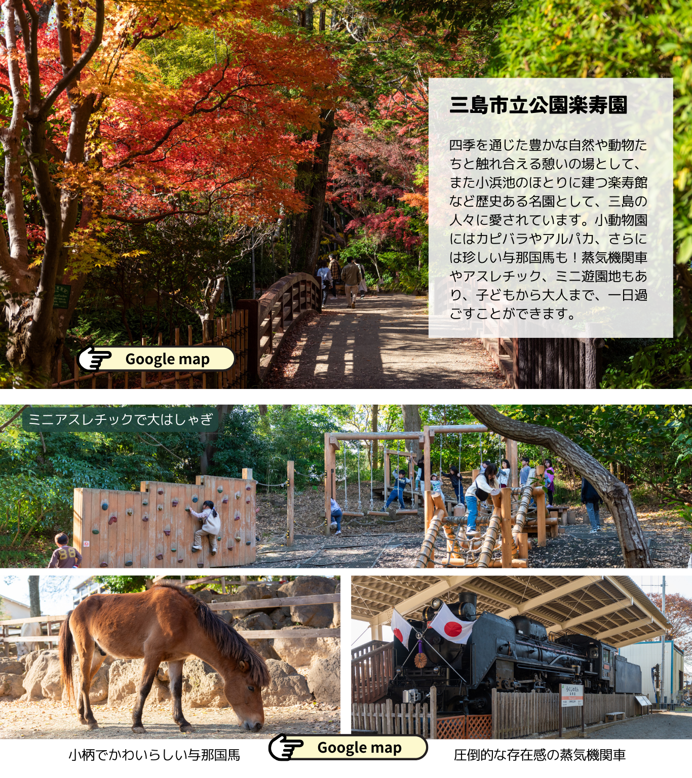 2025_1219　すばるだより②