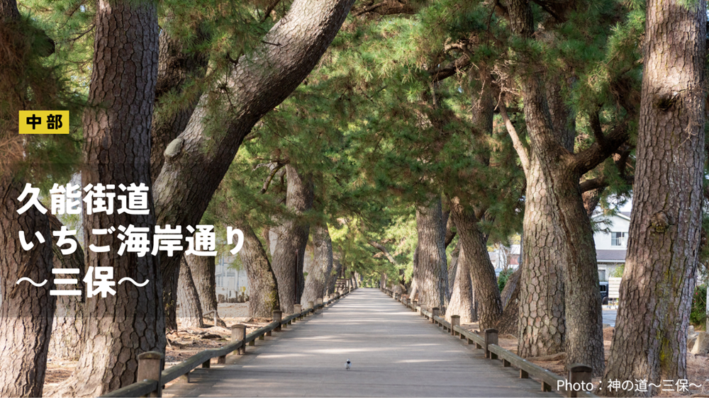 2026_0211　すばるだより①