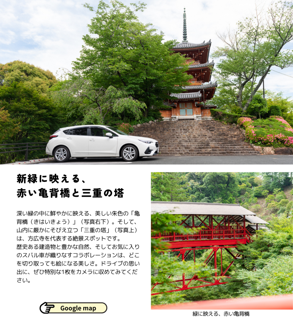 2026_0605 すばるだより49号③