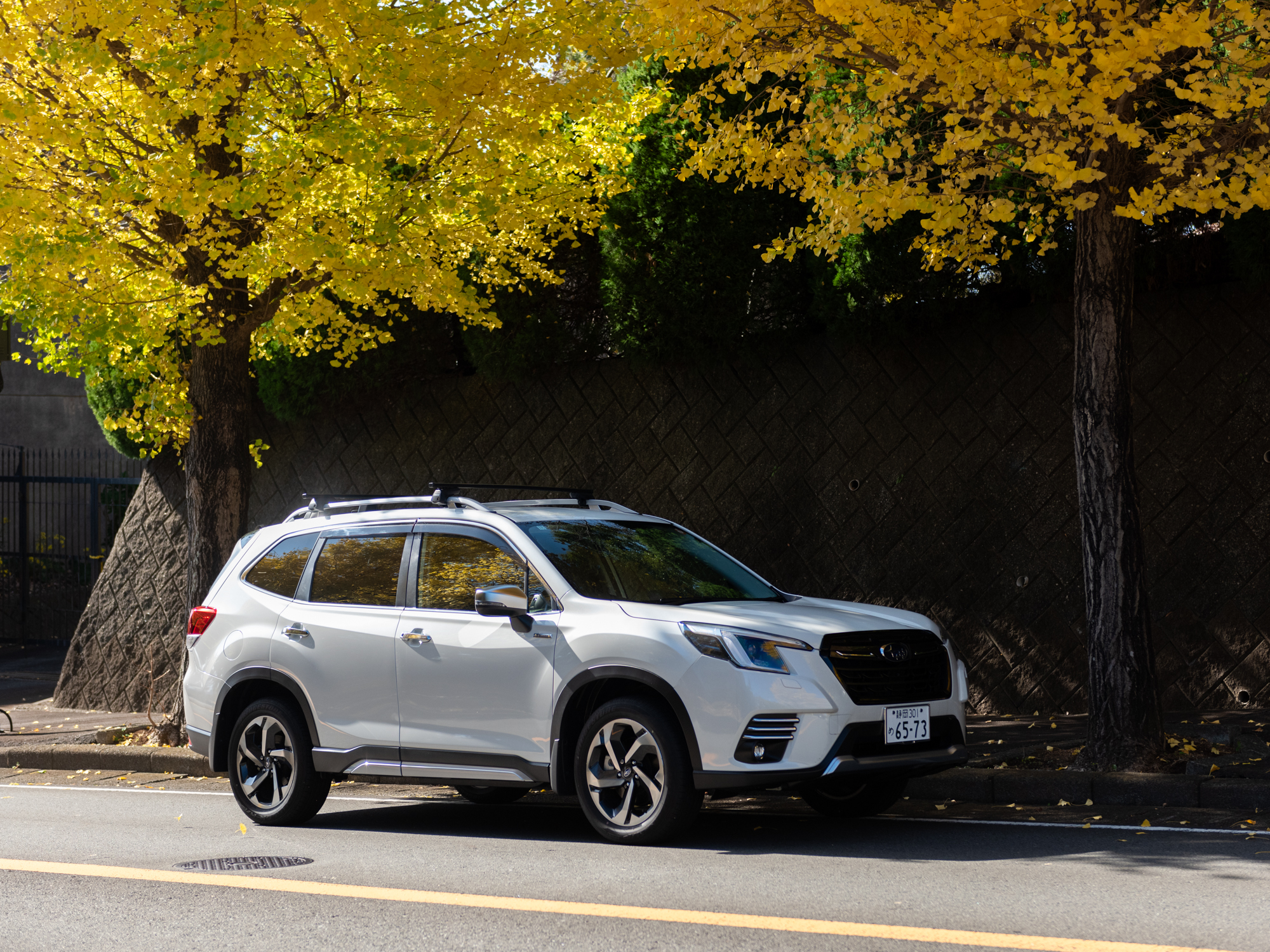 42号【特集】長泉町～三島を巡る旅 / ほか