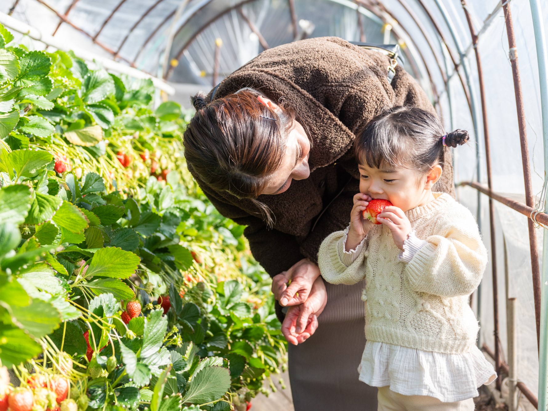 45号【特集】久能街道・いちご海岸通り～三保 / ほか