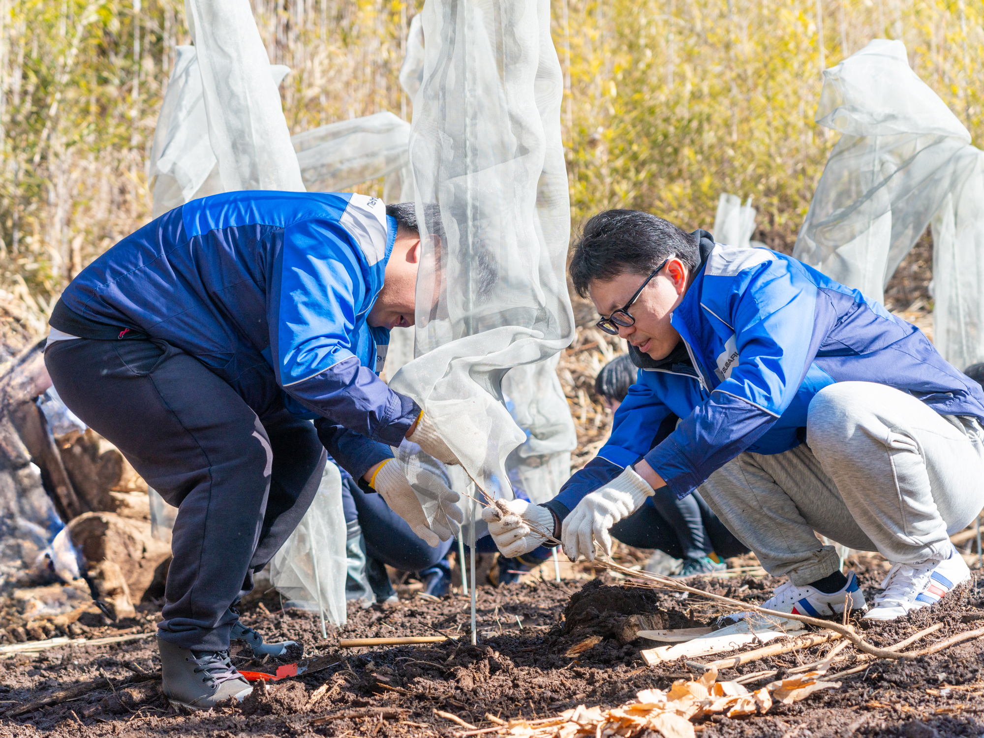 「うるおいの森・村山2026植樹祭」に参加しました