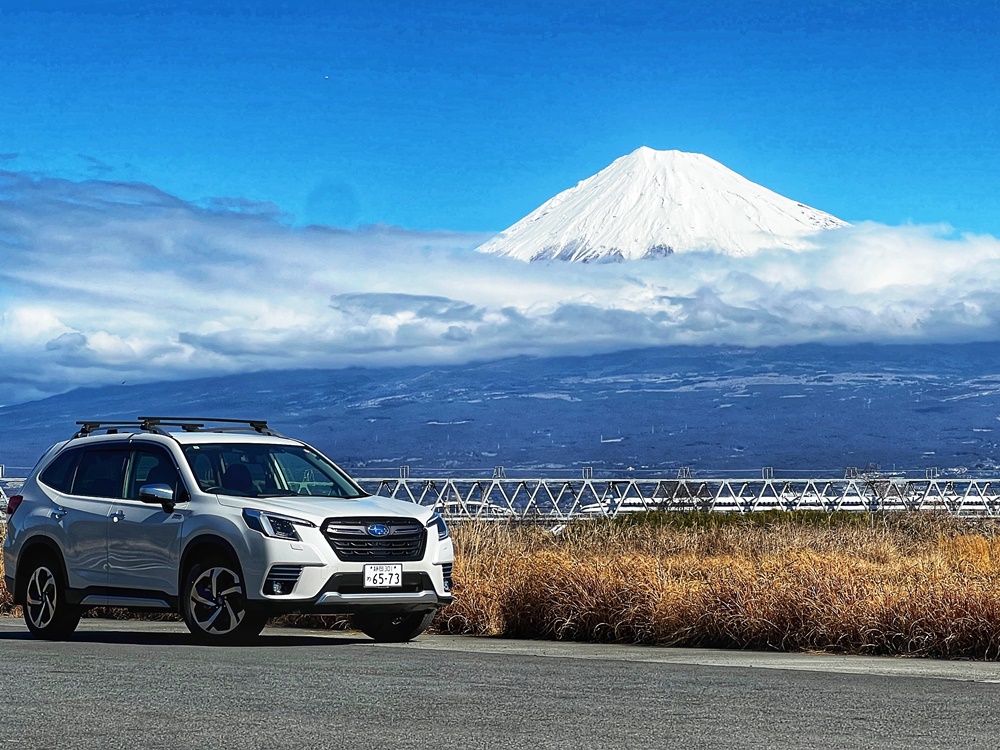 46号【特集】春の訪れを先取り！今だけの富士周遊ルート / ほか