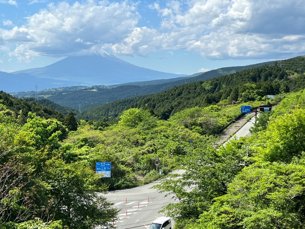 【特集】初夏の訪れを先取り！新緑の伊豆スカイライン / ほか